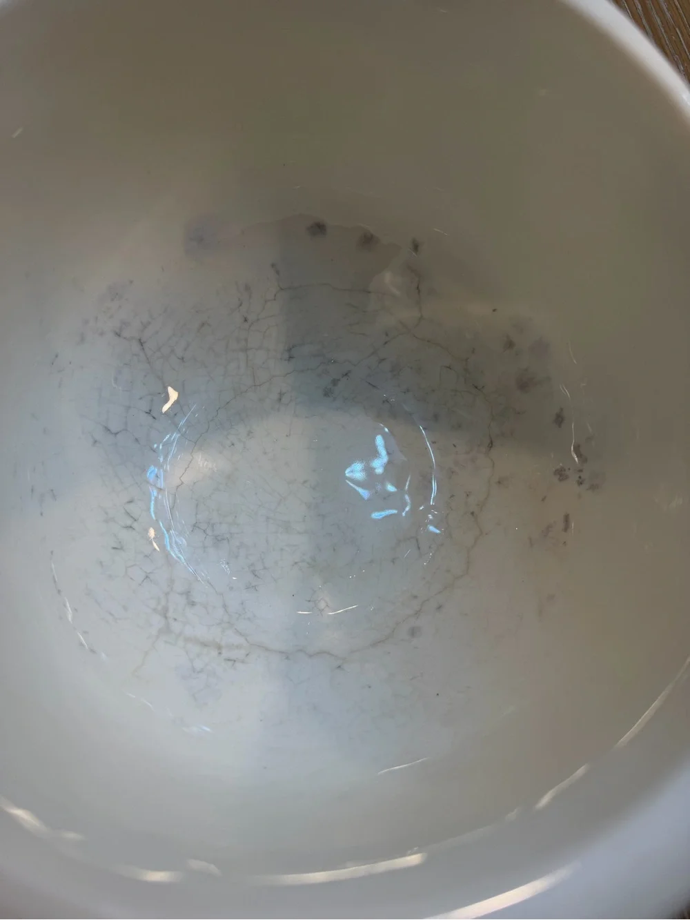 Vintage  Pattern: White Clover Charcoal Gray by Harker Bowl